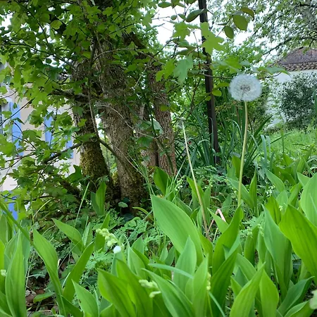 La Source Aux Chevreuils Ferienhaus Albas (Lot)