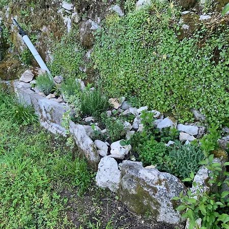La Source Aux Chevreuils Ferienhaus Albas (Lot)