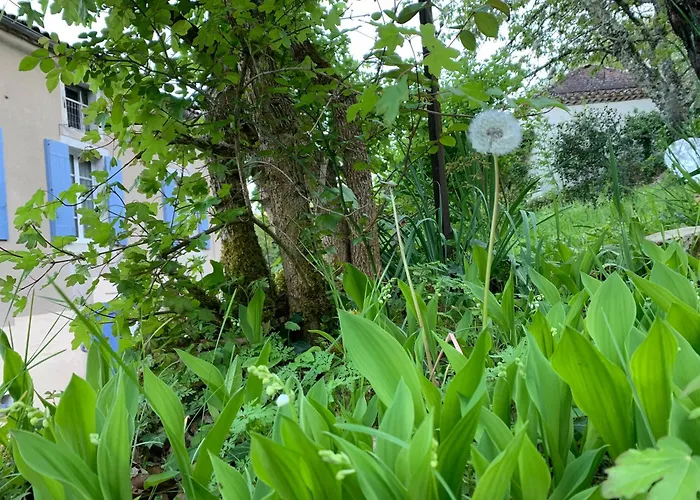 La Source Aux Chevreuils Hébergement de vacances Albas (Lot)
