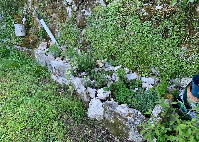 La Source Aux Chevreuils Hébergement de vacances Albas (Lot)